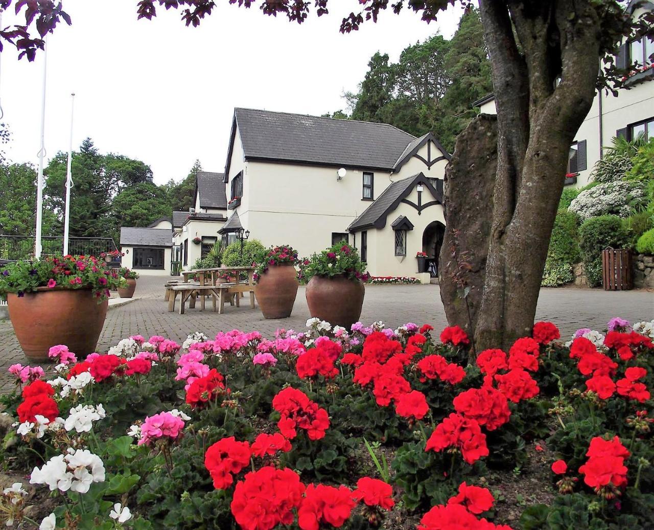 Aherlow House Hotel & Lodges Экстерьер фото