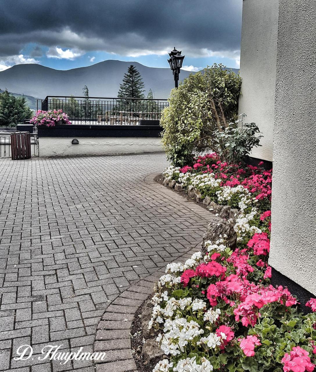 Aherlow House Hotel & Lodges Экстерьер фото